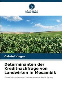 bokomslag Determinanten der Kreditnachfrage von Landwirten in Mosambik