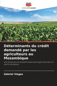 bokomslag Dterminants du crdit demand par les agriculteurs au Mozambique