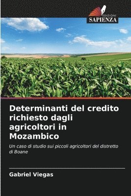 bokomslag Determinanti del credito richiesto dagli agricoltori in Mozambico