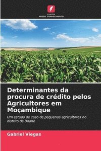 bokomslag Determinantes da procura de crdito pelos Agricultores em Moambique