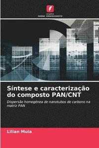 bokomslag Sntese e caracterizao do composto PAN/CNT