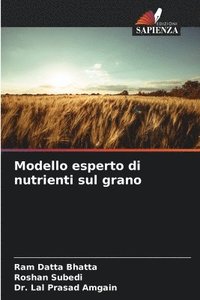 bokomslag Modello esperto di nutrienti sul grano