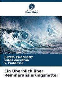 bokomslag Ein berblick ber Remineralisierungsmittel