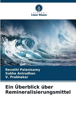 bokomslag Ein berblick ber Remineralisierungsmittel