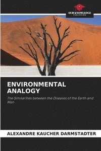 bokomslag Environmental Analogy