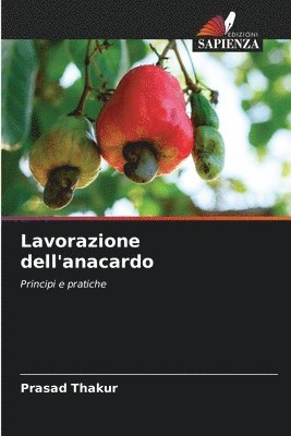 bokomslag Lavorazione dell'anacardo