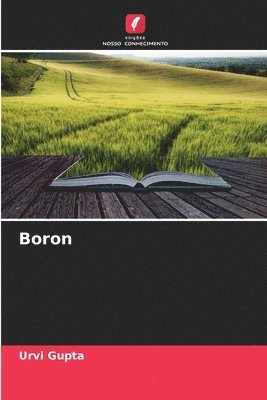 Boron 1