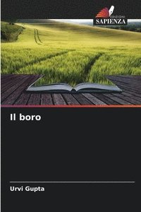 bokomslag Il boro