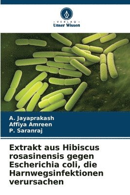 Extrakt aus Hibiscus rosasinensis gegen Escherichia coli, die Harnwegsinfektionen verursachen 1