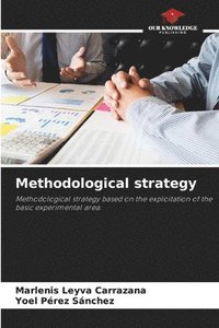 bokomslag Methodological strategy