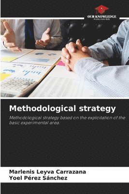 Methodological strategy 1