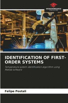 bokomslag Identification of First-Order Systems