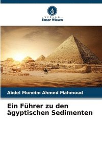 bokomslag Ein Fhrer zu den gyptischen Sedimenten