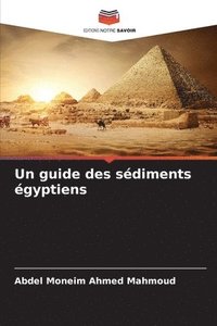 bokomslag Un guide des sdiments gyptiens