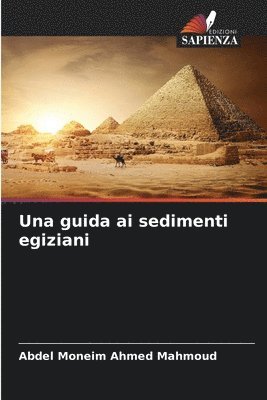 bokomslag Una guida ai sedimenti egiziani