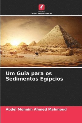 bokomslag Um Guia para os Sedimentos Egpcios