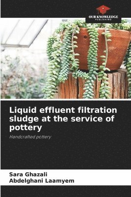 Liquid effluent filtration sludge at the service of pottery 1