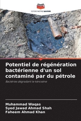 bokomslag Potentiel de rgnration bactrienne d'un sol contamin par du ptrole