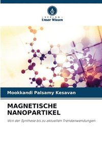 bokomslag Magnetische Nanopartikel
