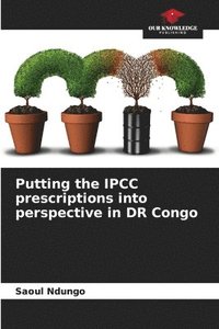 bokomslag Putting the IPCC prescriptions into perspective in DR Congo