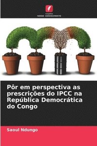 bokomslag Pr em perspectiva as prescries do IPCC na Repblica Democrtica do Congo