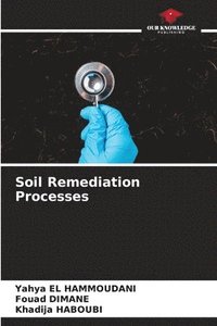 bokomslag Soil Remediation Processes
