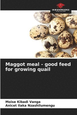 Maggot meal - good feed for growing quail 1