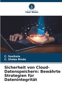 bokomslag Sicherheit von Cloud-Datenspeichern