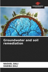 bokomslag Groundwater and soil remediation