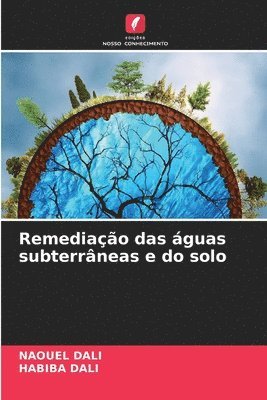 bokomslag Remediacao das aguas subterraneas e do solo