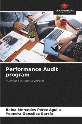 bokomslag Performance Audit program