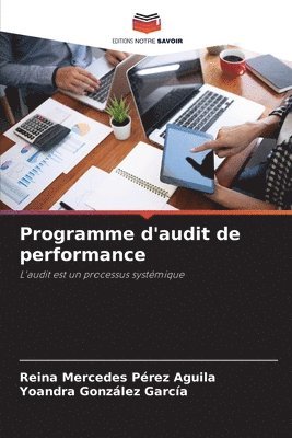 Programme d'audit de performance 1