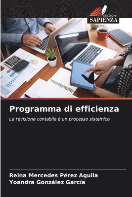 bokomslag Programma di efficienza