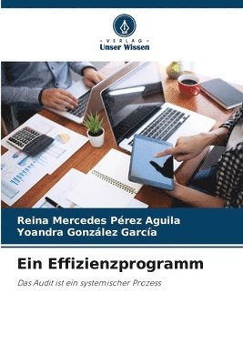 Ein Effizienzprogramm 1