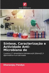 bokomslag Sntese, Caracterizao e Actividade Anti-Microbiana de