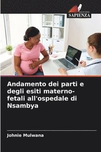 bokomslag Andamento dei parti e degli esiti materno-fetali all'ospedale di Nsambya