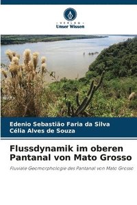 bokomslag Flussdynamik im oberen Pantanal von Mato Grosso