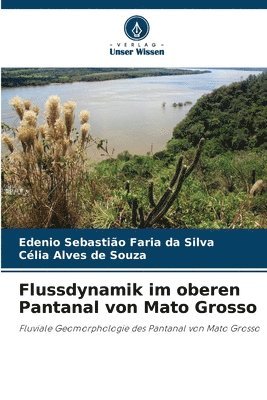 Flussdynamik im oberen Pantanal von Mato Grosso 1