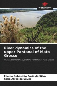 bokomslag River dynamics of the upper Pantanal of Mato Grosso