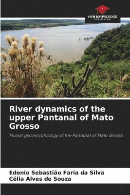 River dynamics of the upper Pantanal of Mato Grosso 1