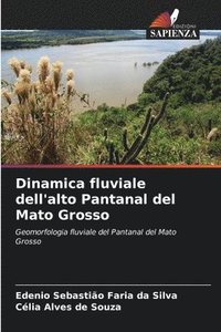 bokomslag Dinamica fluviale dell'alto Pantanal del Mato Grosso