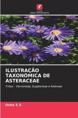 Ilustrao Taxonmica de Asteraceae 1