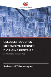 bokomslag Cellules Souches Msenchymateuses d'Origine Dentaire