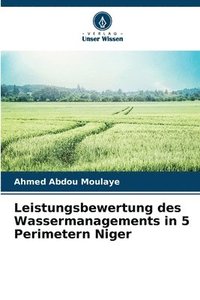 bokomslag Leistungsbewertung des Wassermanagements in 5 Perimetern Niger