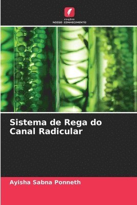 Sistema de Rega do Canal Radicular 1