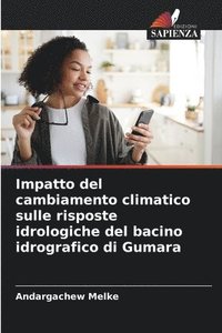 bokomslag Impatto del cambiamento climatico sulle risposte idrologiche del bacino idrografico di Gumara