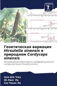 bokomslag &#1043;&#1077;&#1085;&#1077;&#1090;&#1080;&#1095;&#1077;&#1089;&#1082;&#1072;&#1103; &#1074;&#1072;&#1088;&#1080;&#1072;&#1094;&#1080;&#1103; Hirsutella sinensis &#1074;