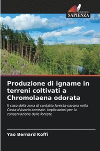 bokomslag Produzione di igname in terreni coltivati a Chromolaena odorata