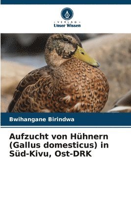 bokomslag Aufzucht von Hhnern (Gallus domesticus) in Sd-Kivu, Ost-DRK