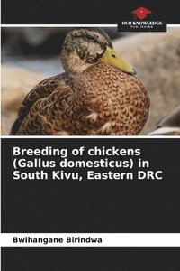 bokomslag Breeding of chickens (Gallus domesticus) in South Kivu, Eastern DRC